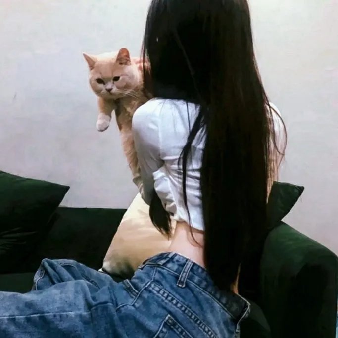 金刚猎鹰2